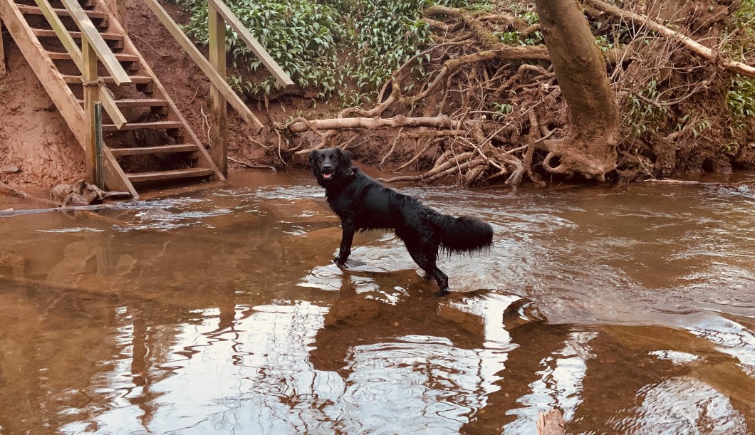 4A096395-3F15-4CF2-832C-17D94458C269_1_201_a