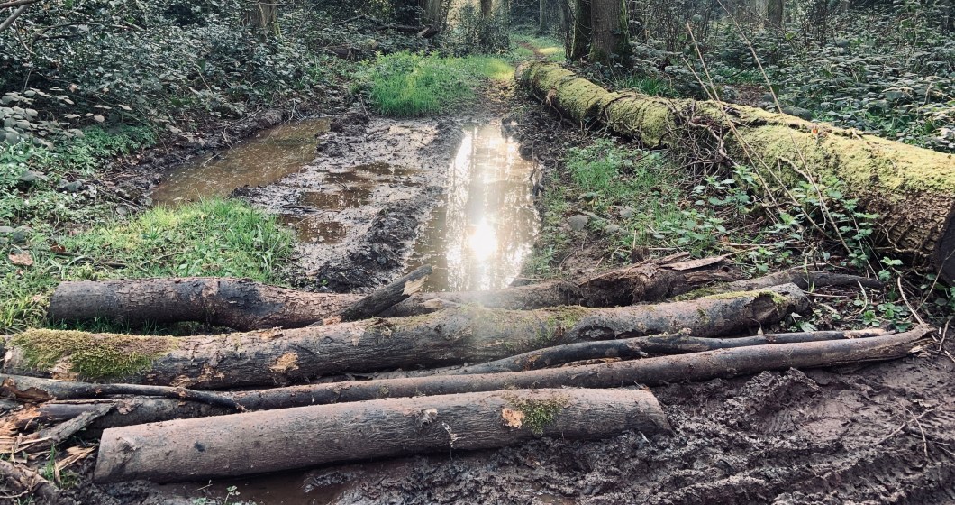 7974D3AC-938C-4588-B85F-D6EA909D9ACE_1_201_a