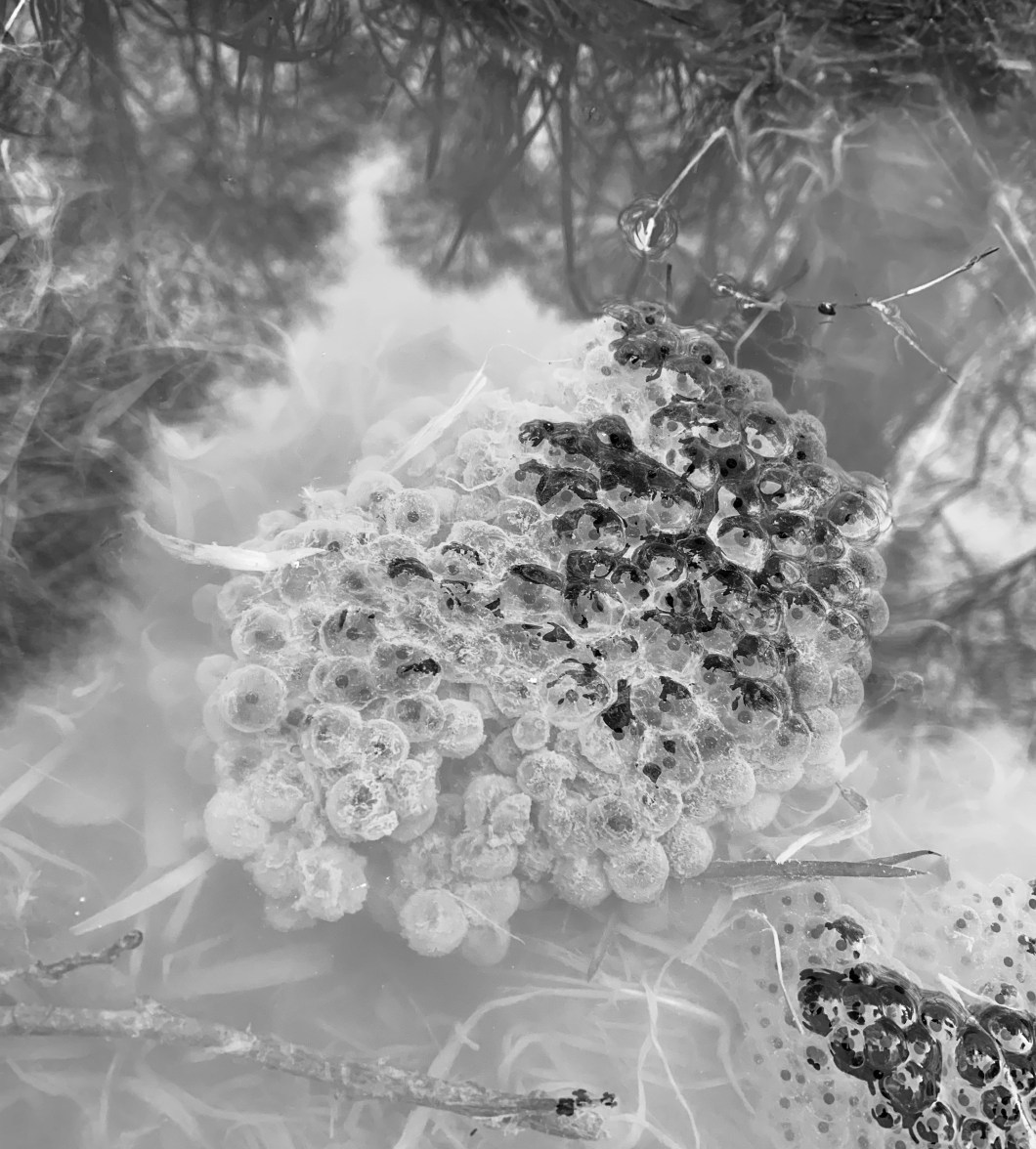 B1C9B251-46B2-42A4-A8B3-F413852E7EBB_1_201_a