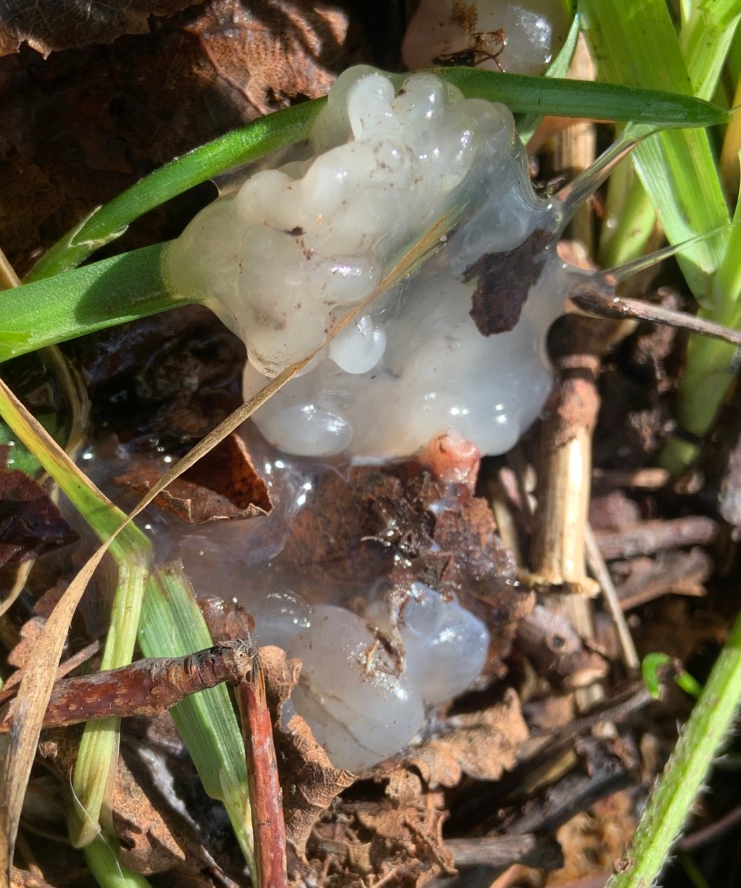 BBC9DBD2-A04E-4228-AB70-783A8397D74A_1_201_a