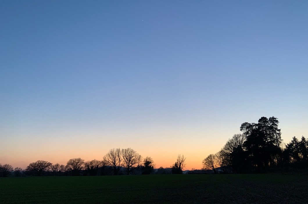 C46EB8B3-87A2-4B92-BD95-3D443EF9D2D9_1_201_a