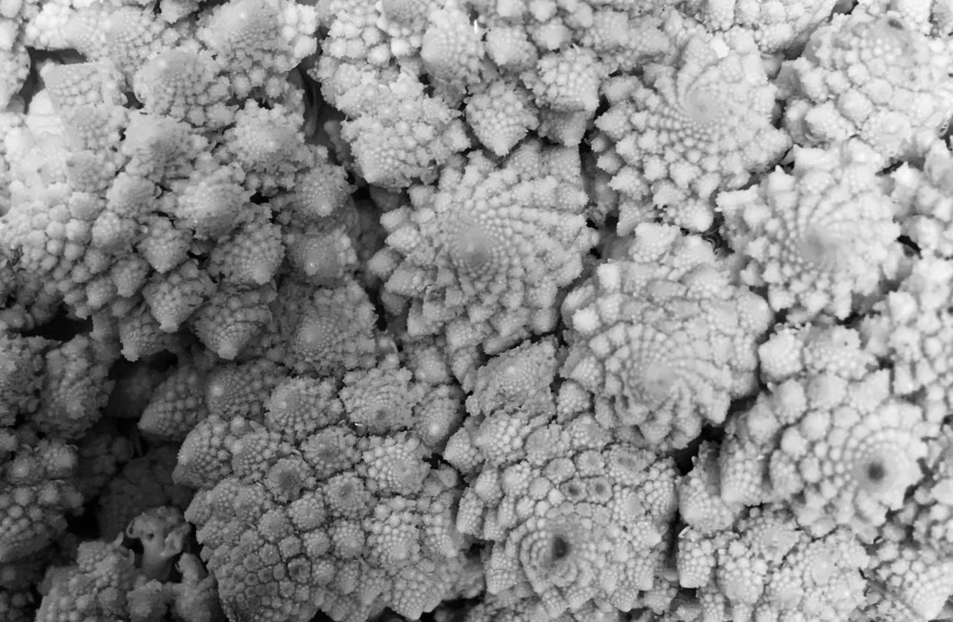 DF5B884D-5327-4AB7-ADE3-199381DBE613_1_201_a