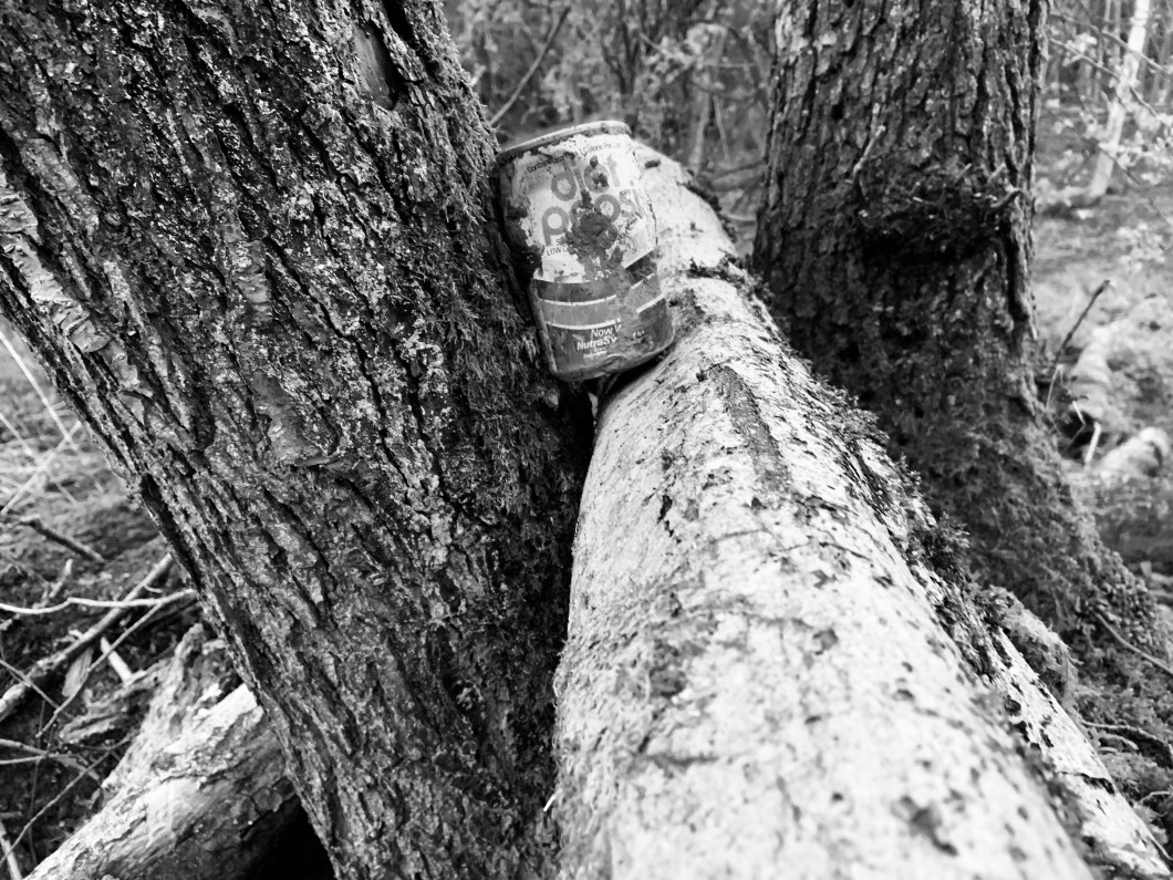 F7B187F5-B058-46AD-93D2-BD18927B34E2_1_201_a