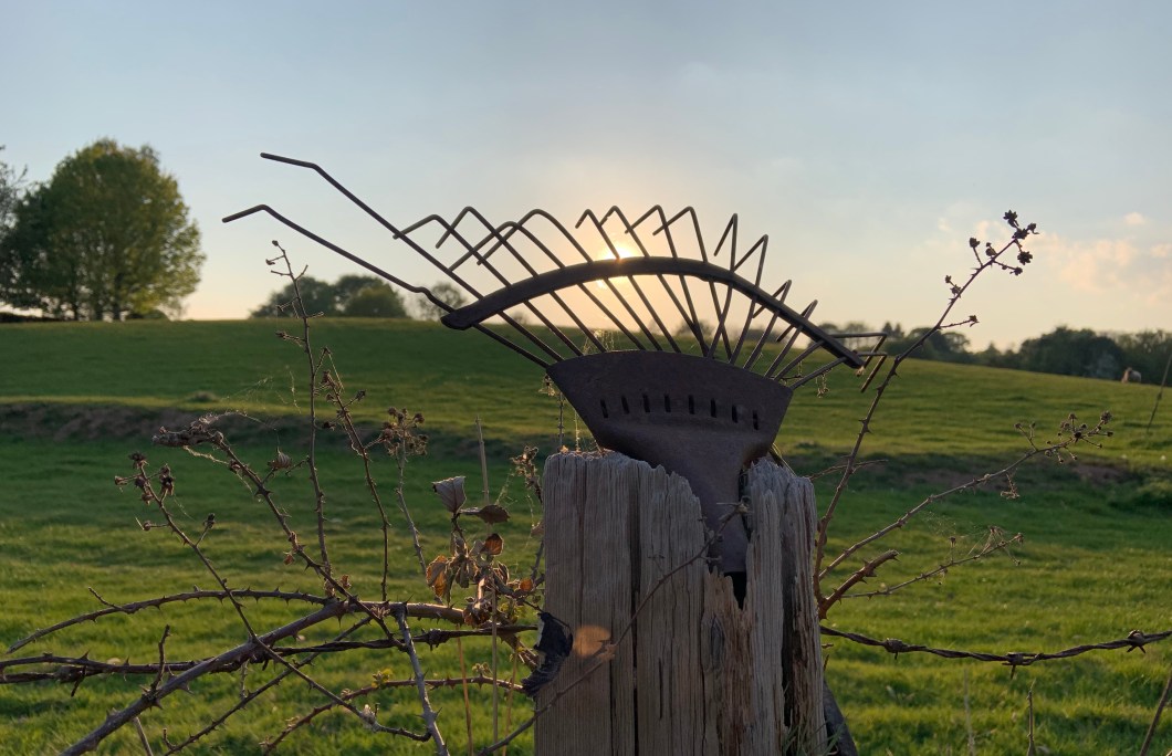 145879B1-BAC1-4603-8349-8A42ED5A5806_1_201_a