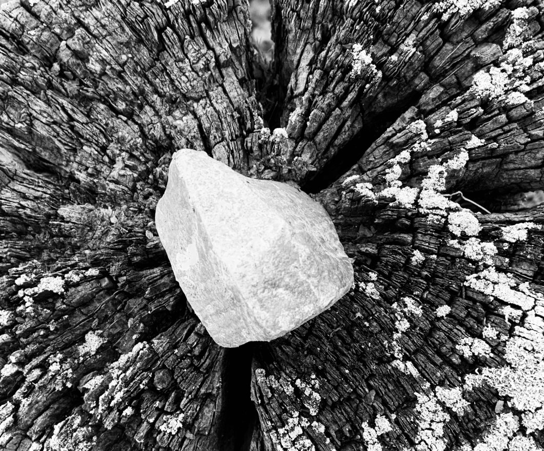 30E9C213-29F3-4091-81C3-BA36DEDDDEE8_1_201_a