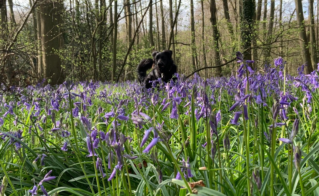 894EF8B7-BD57-4FCC-8B34-54AA76F2947D_1_201_a