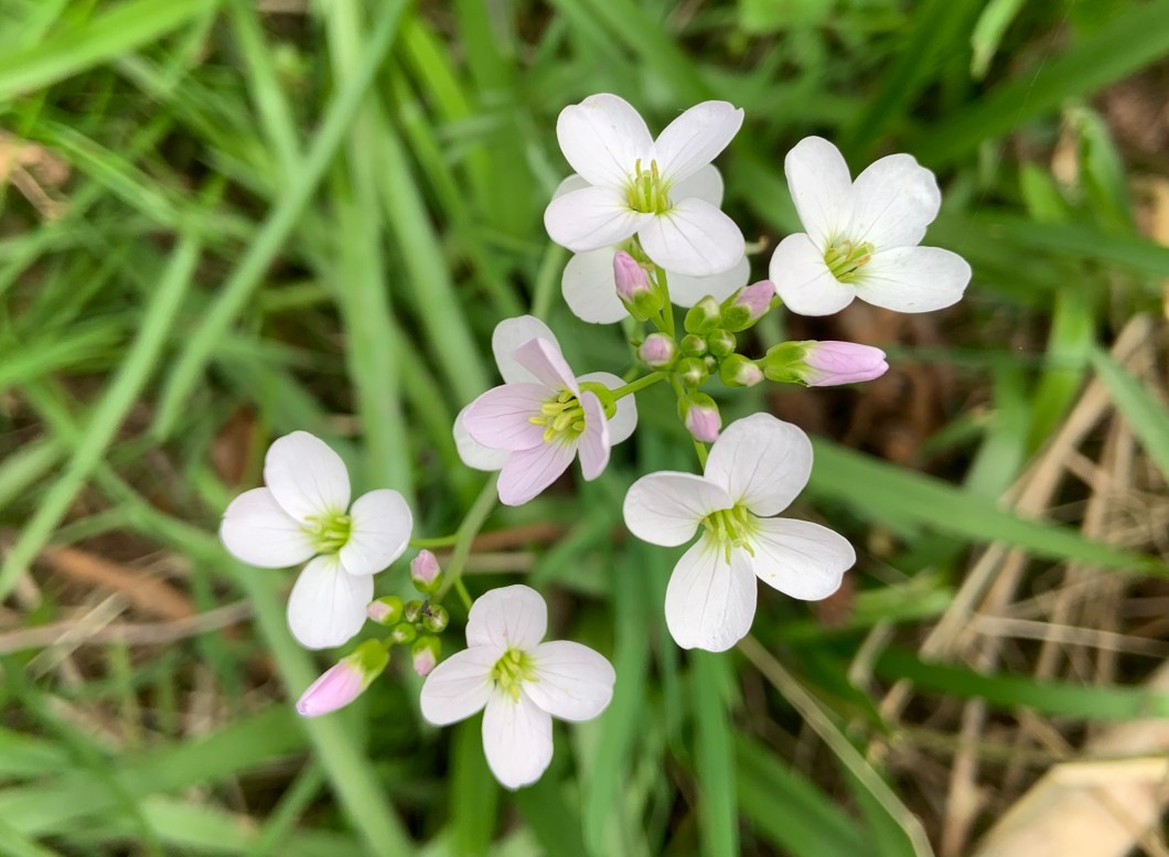 96763E3F-A6DA-4E00-B32E-62EB3C6FBC4C_1_201_a