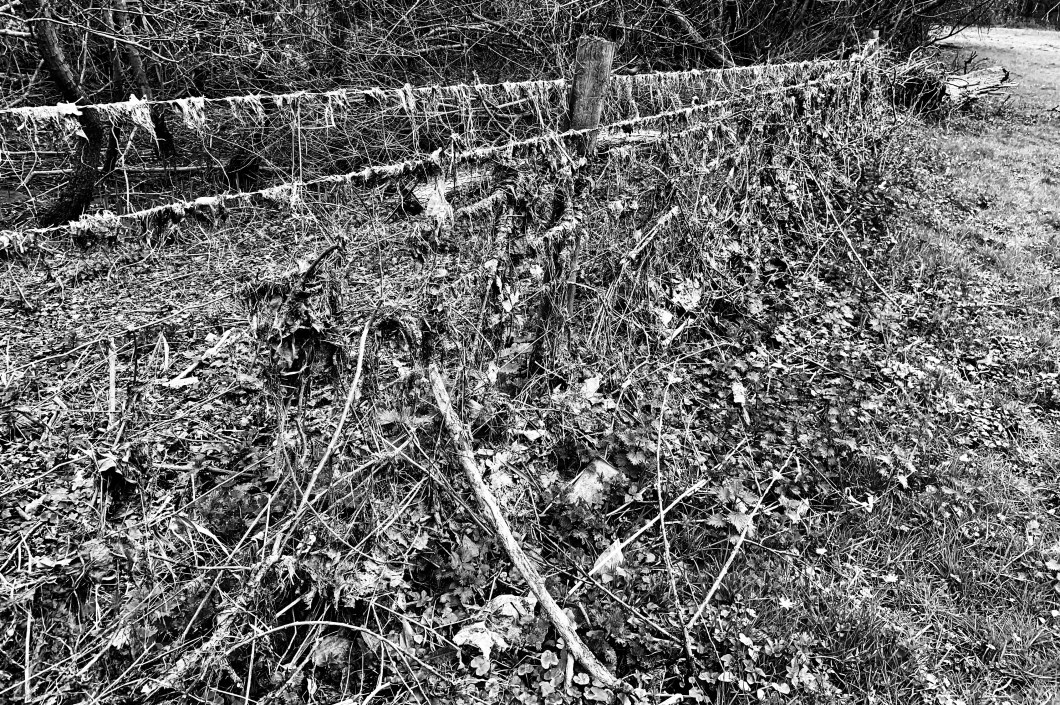 B35CFB88-7B7C-4D6C-BF2D-21922E4CACA6_1_201_a