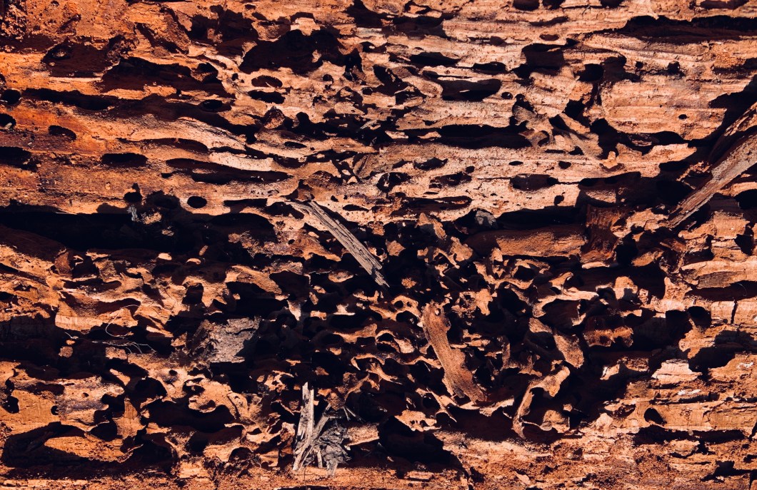 E6EF3473-3A14-42EB-853B-7C0A1811AC4C_1_201_a