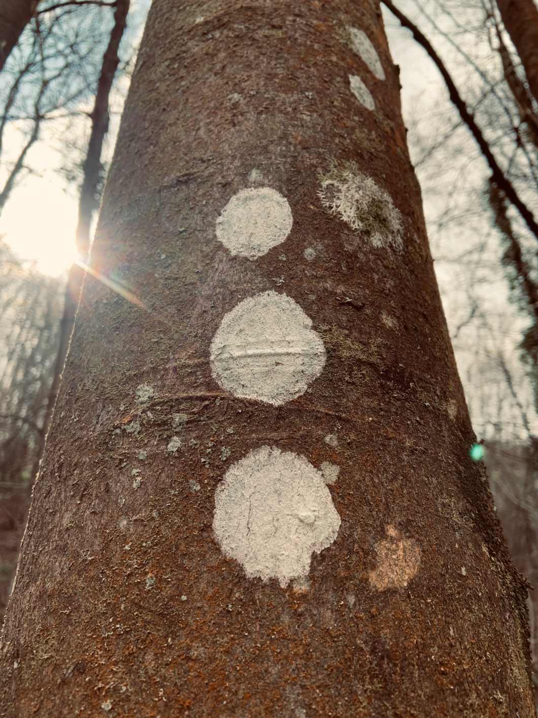 F67DADA3-22D5-4B58-A172-C1E866237FDC_1_201_a