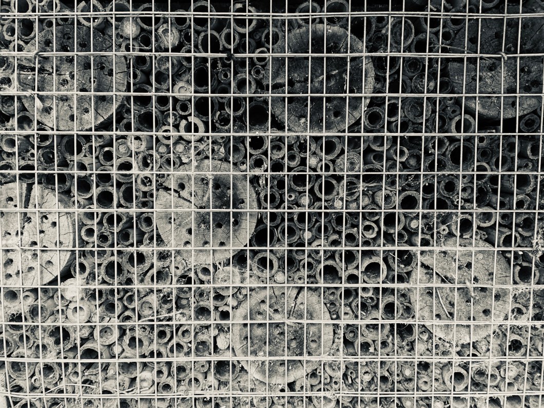 02F0D3A4-0B1D-4C20-9792-56635509190D_1_201_a