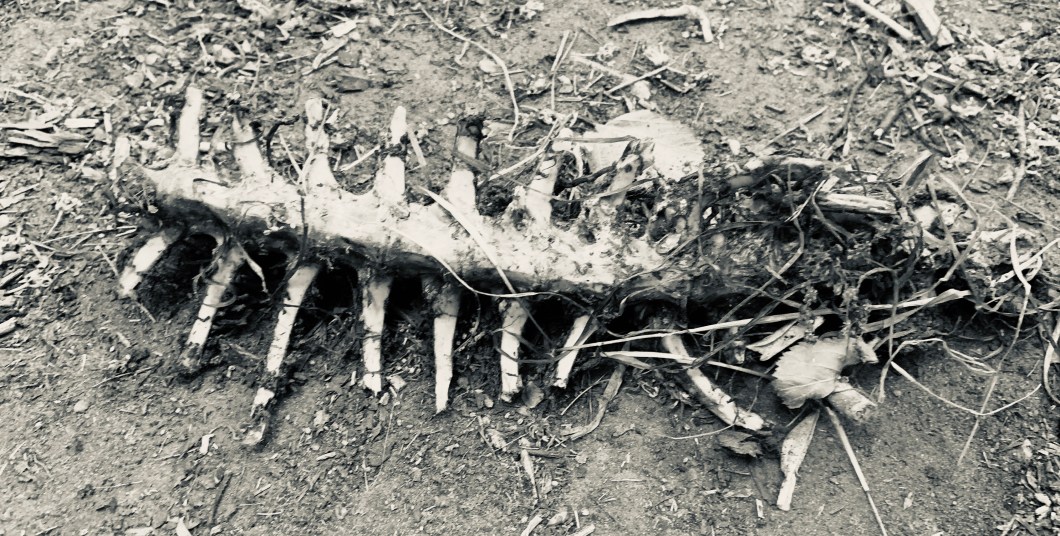 05A4B1A1-E8E3-4B35-B635-05AD17D6AE99_1_201_a