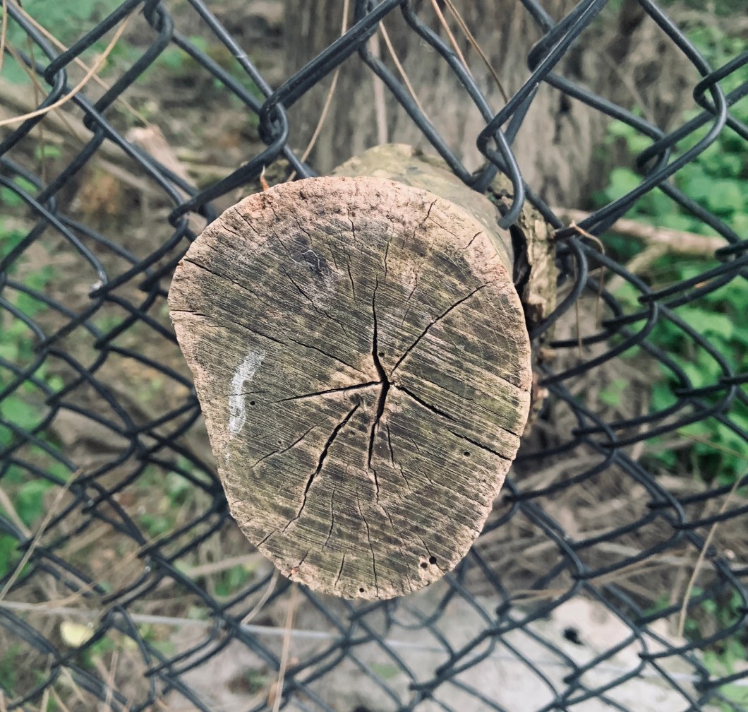 3B38EB28-B962-4C9B-9A99-CB3321A645A7_1_201_a