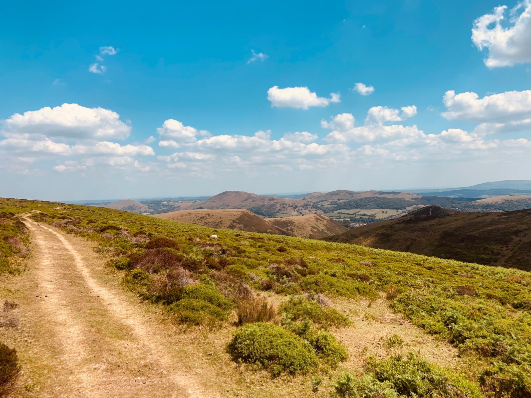 59AEC600-EFD3-45B2-8465-9AFFFE74DDC1_1_201_a