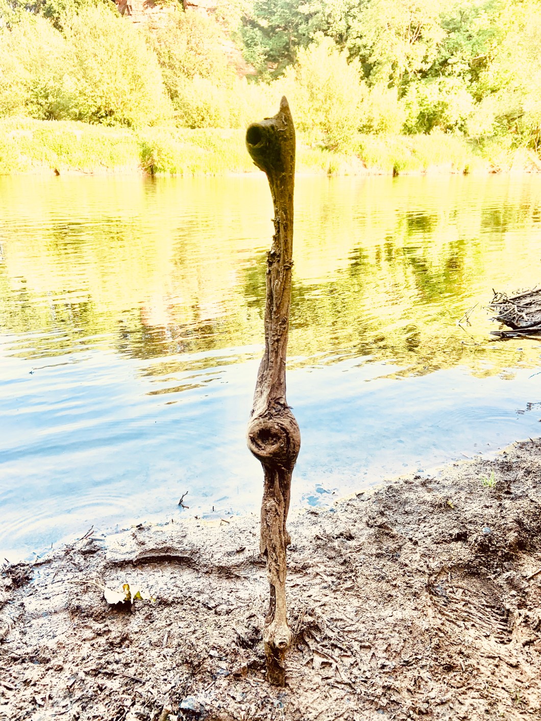 5B236B2D-F6E8-4CD7-8664-4EBFB70BEA79_1_201_a