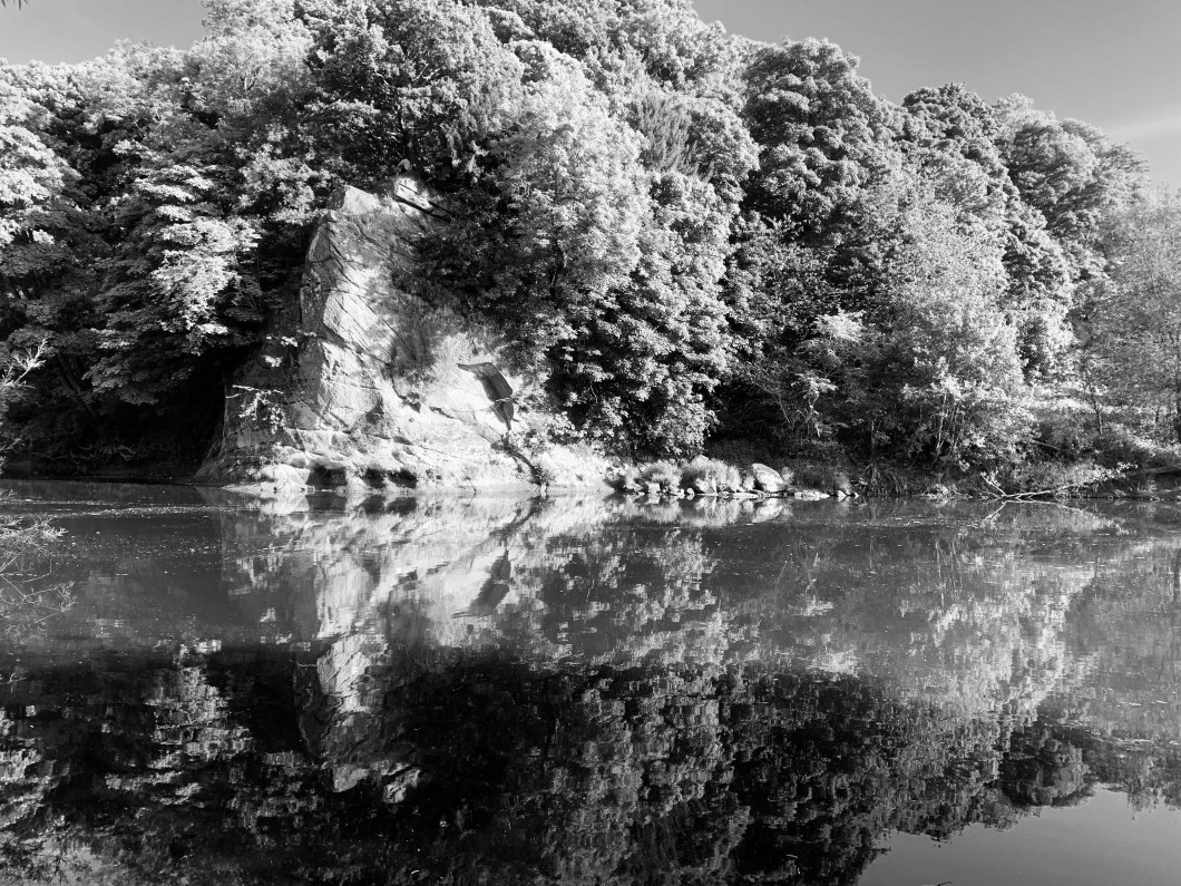 8B6D1965-A899-47E6-9D1C-386F0C213761_1_201_a