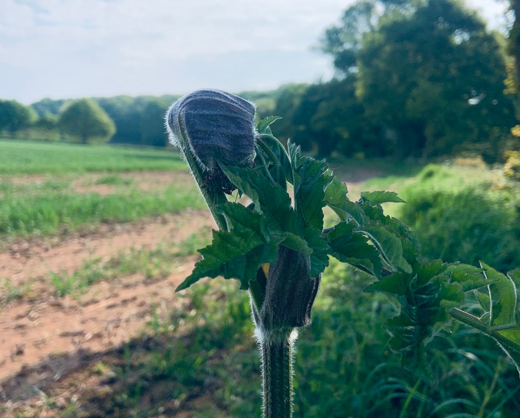 C7964170-29D7-4F7B-9CAA-C9E492BB75A6_1_201_a