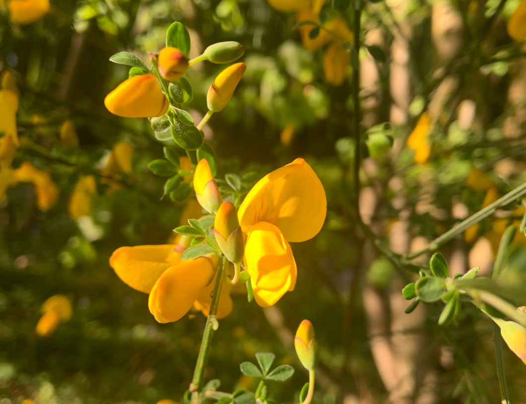 E0869C58-E5BB-424E-B370-A8970747D6FA_1_201_a