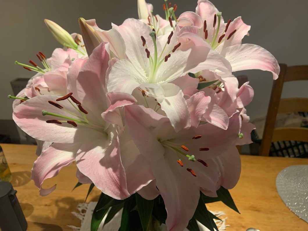 E77B5EDE-3267-4059-B53F-4E2EC52D5BA2_1_201_a