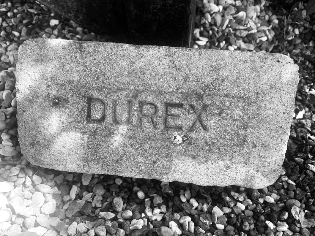 1D808C6A-9350-4BF1-BBC4-D29BFDDE4EAA_1_201_a