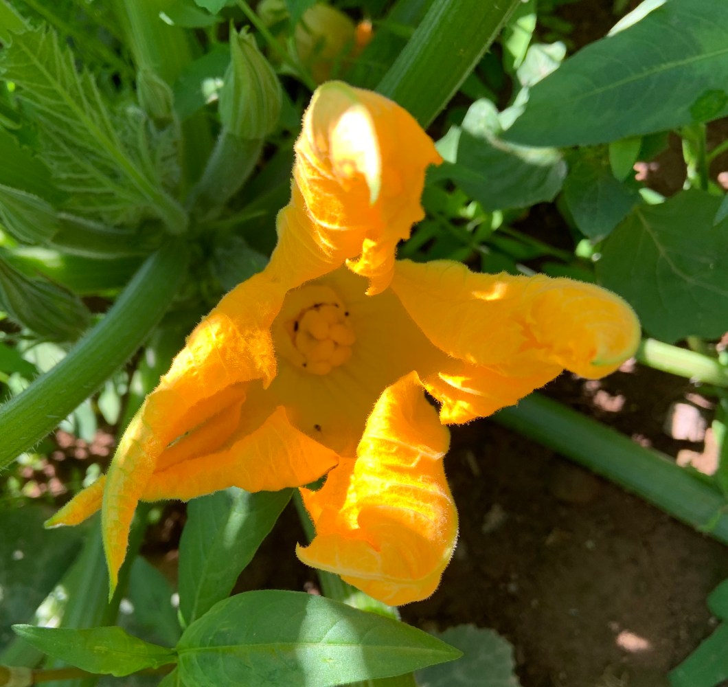 1DC9E0CD-0554-4616-BBBE-F09BDD83D5E0_1_201_a