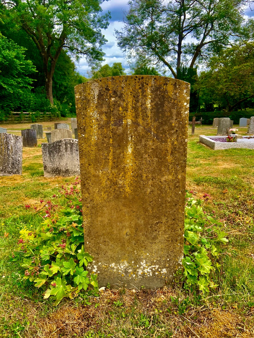 8DA1FB74-87A3-4261-9FD6-8A4E3E1C3978_1_201_a