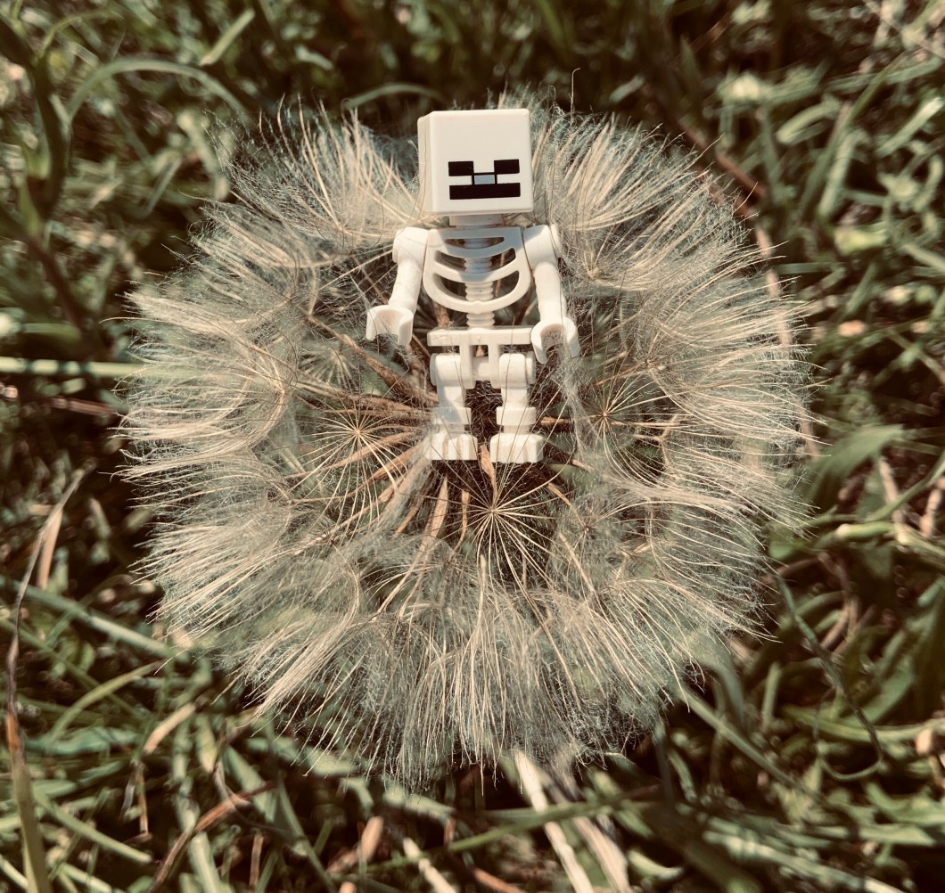 A4AB99C7-00BB-4727-B83A-8CF79B67125C_1_201_a