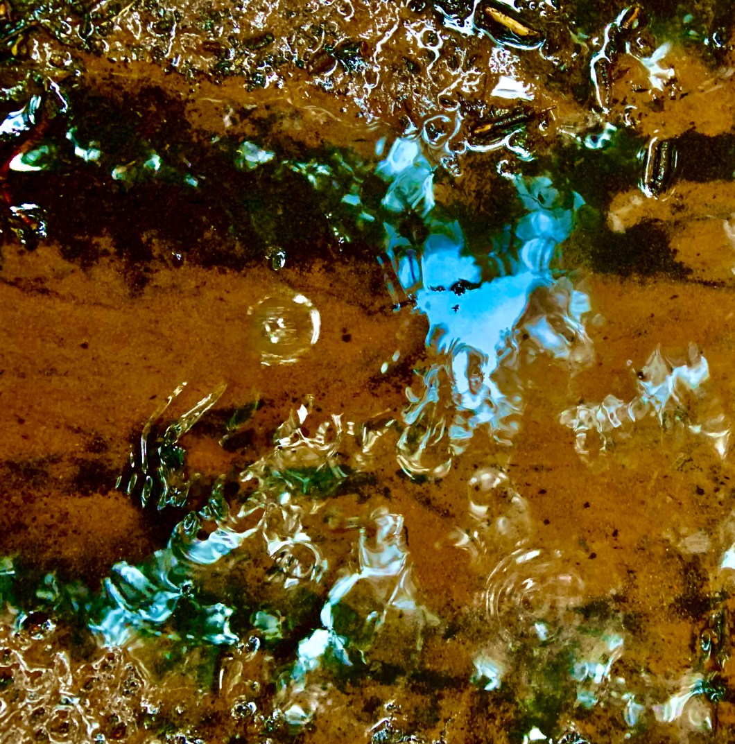 B32818BF-6B20-443C-922B-99CA2A59FD2C_1_201_a