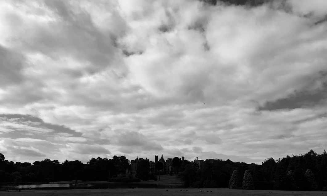 09385C1E-B879-4C1D-AB93-98BF0550ED69_1_201_a