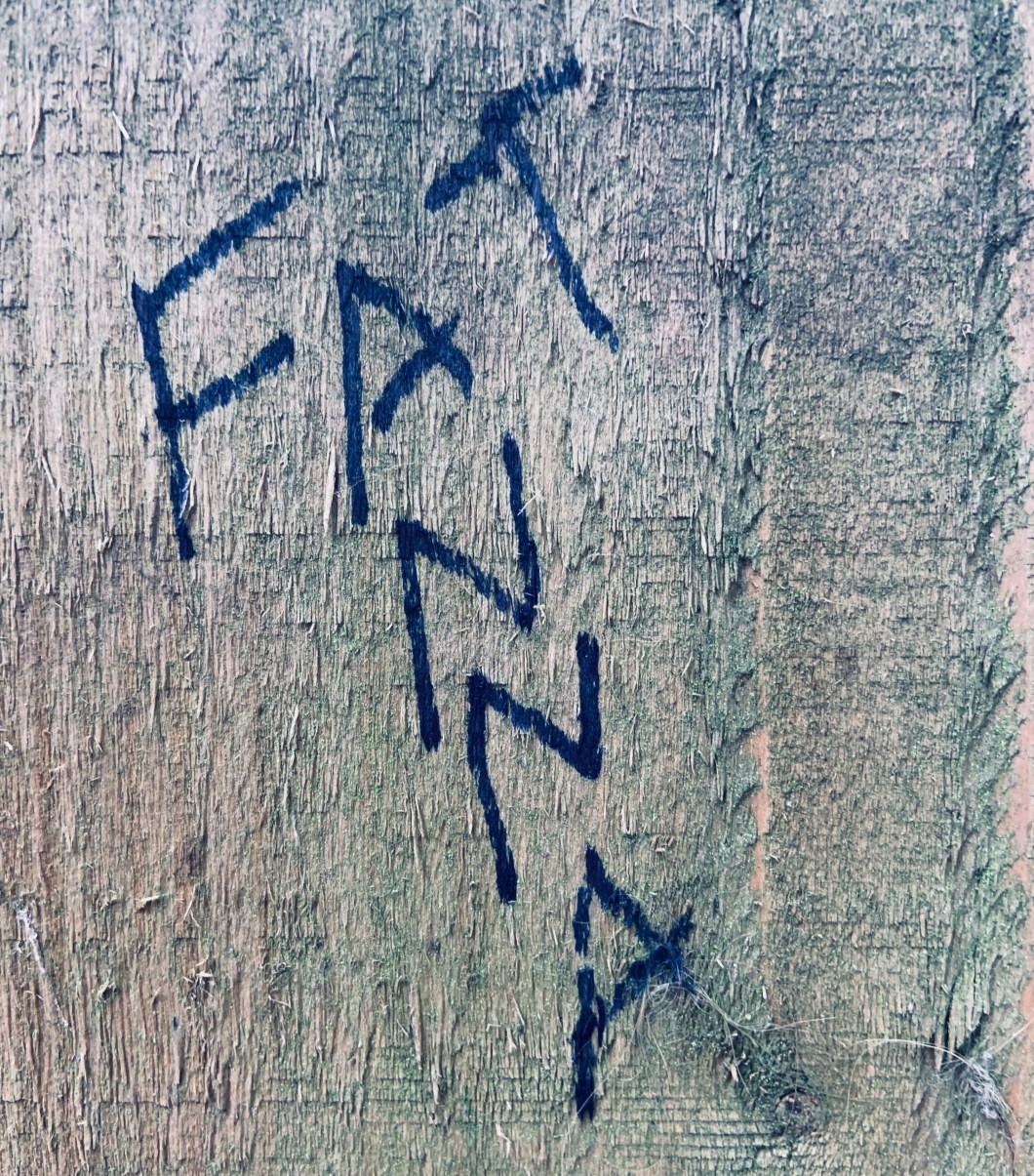 A1CC6D5E-4318-4653-A2C0-1955A5CCED0A_1_201_a