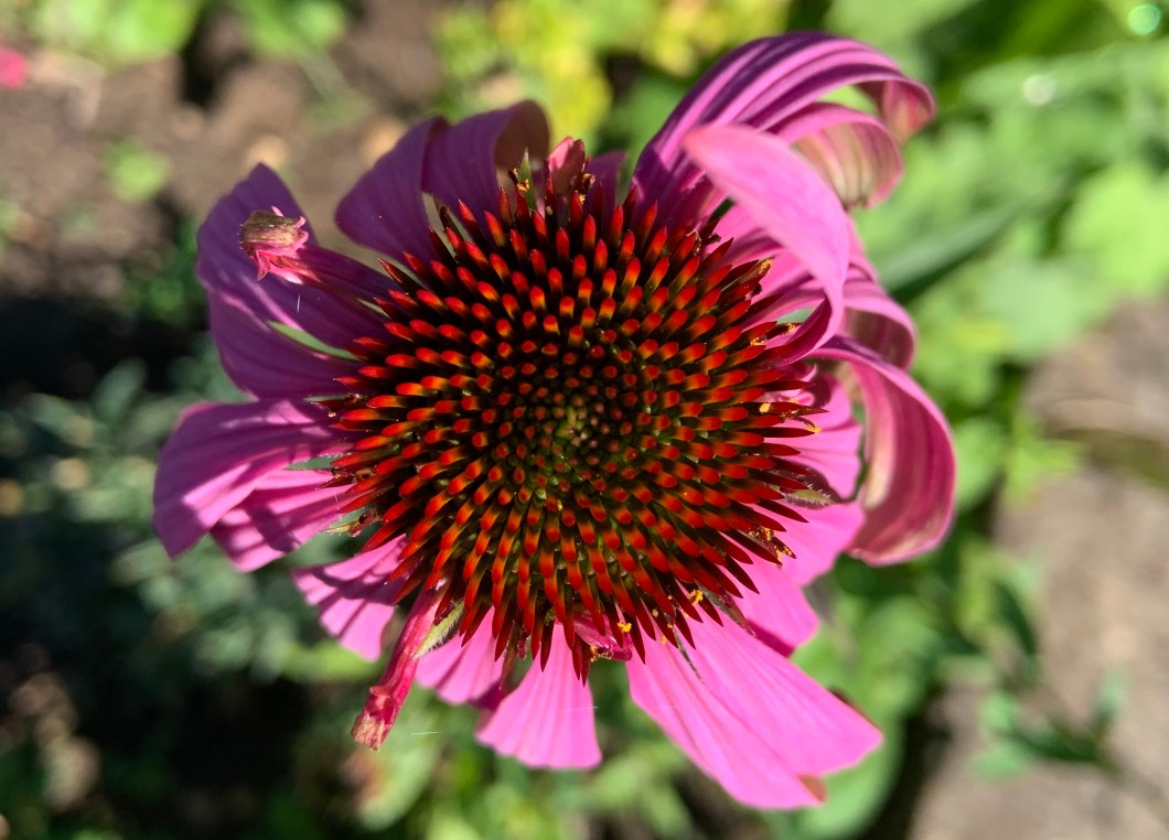 BE719E84-D675-4B7B-A549-F75E7EC9E1BD_1_201_a