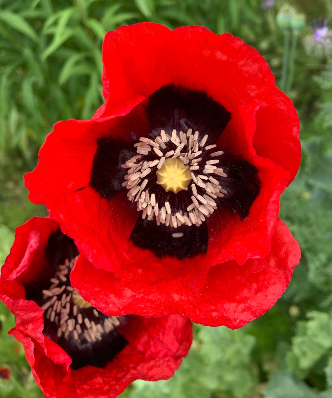 C866E76D-66C4-4ED1-A248-B7FB208FD957_1_201_a