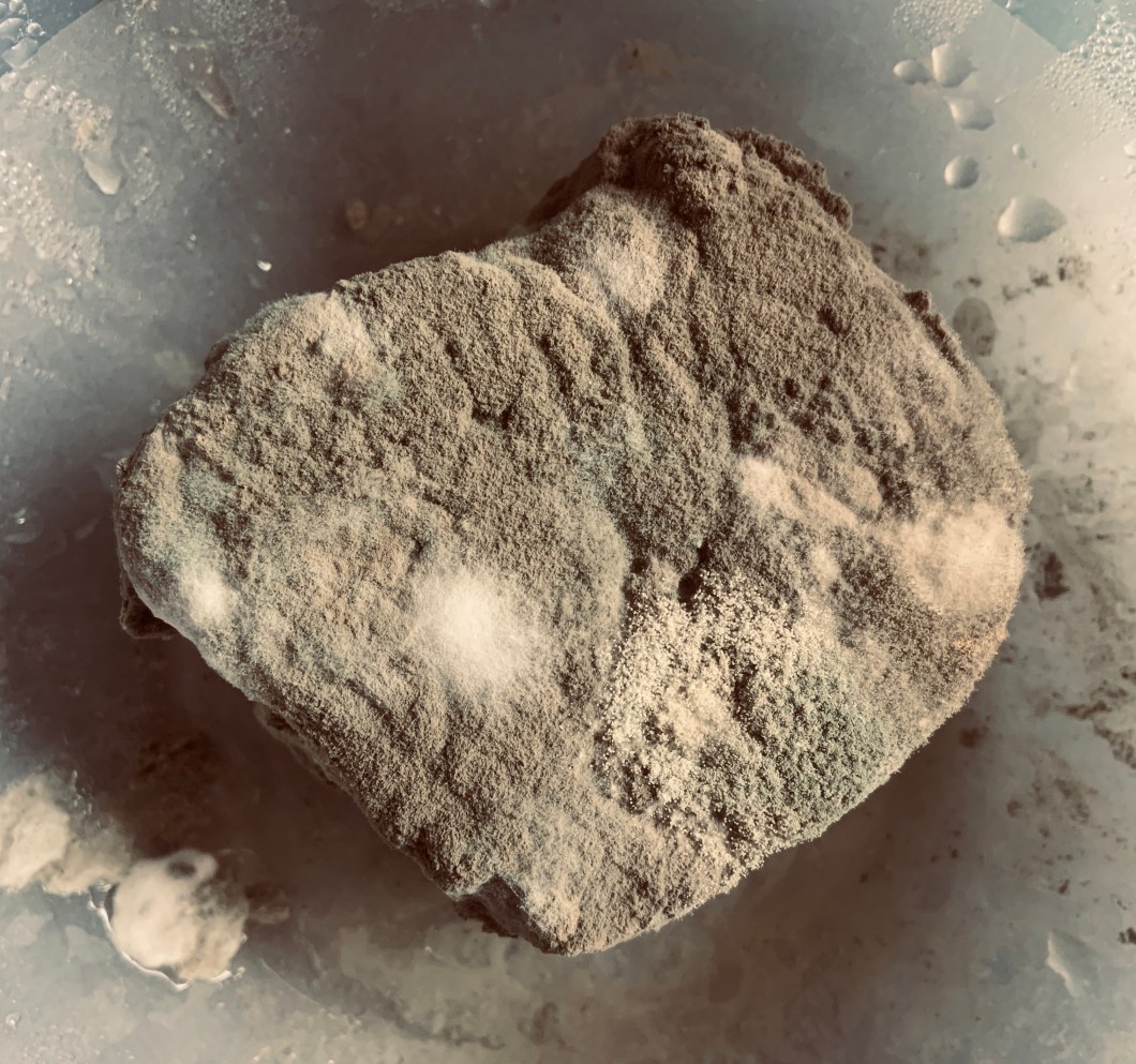 31F2F688-9DA8-4CA4-9AED-263F6B0BCF72_1_201_a