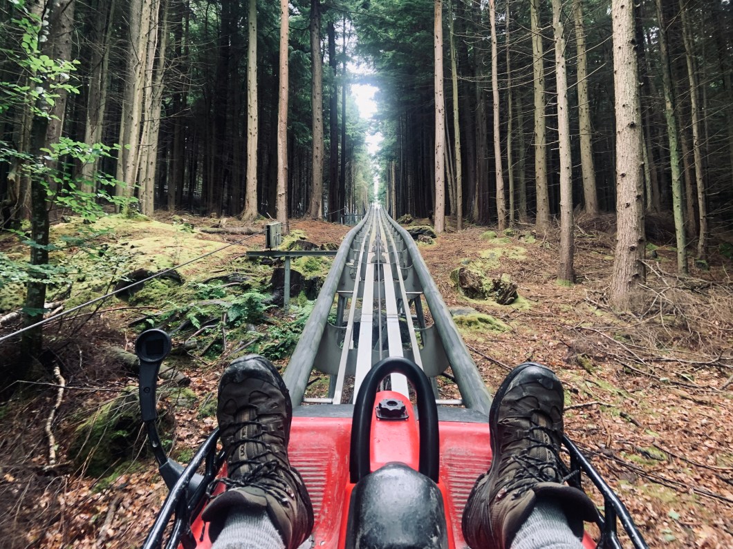 5E86F0C8-0013-46F3-9433-64F61389E76A_1_201_a