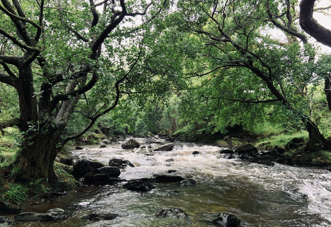 7DACCFBD-8D66-4E0B-926B-5F88BB043DDB_1_201_a