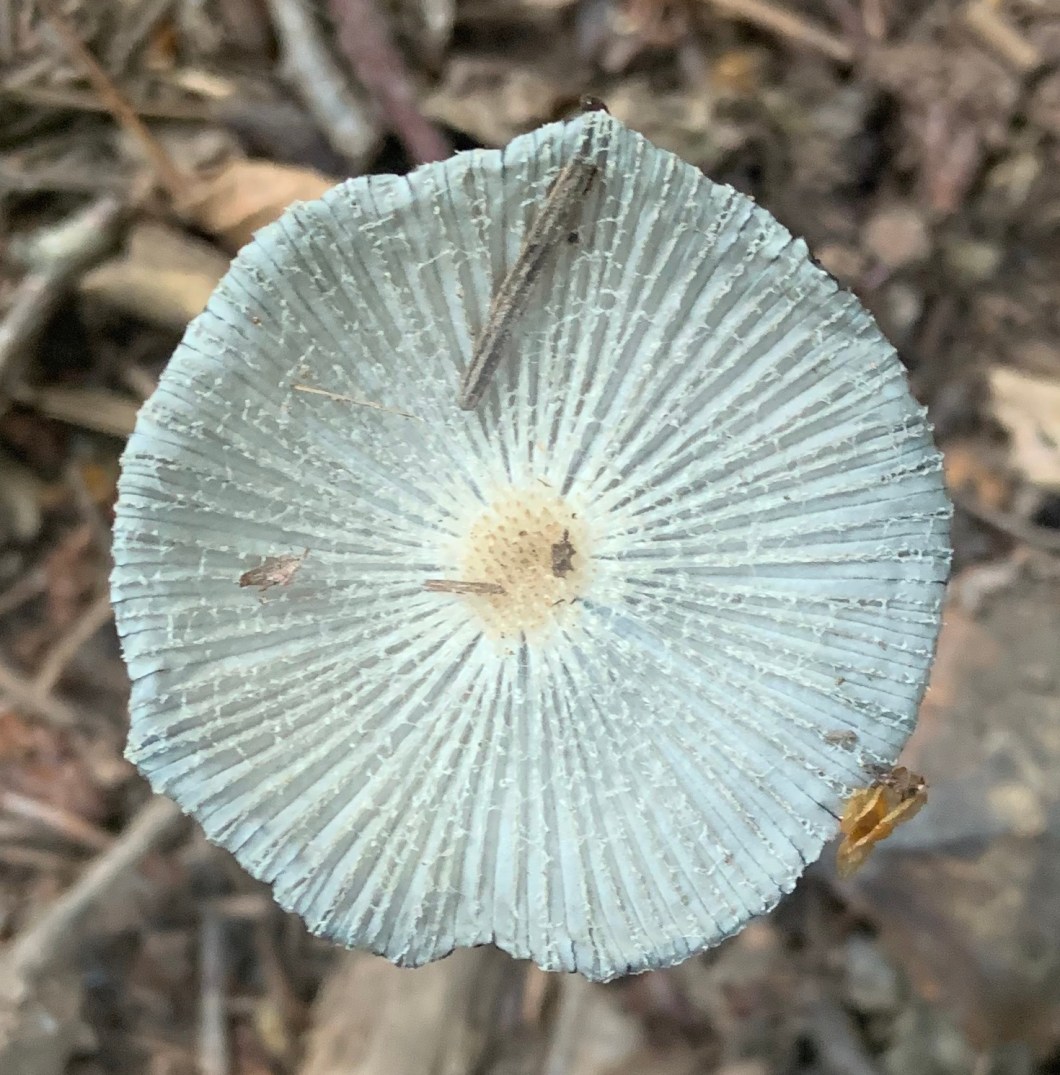 BB93F6BC-EF1A-4BB0-BE97-3B8C91BF0653_1_201_a