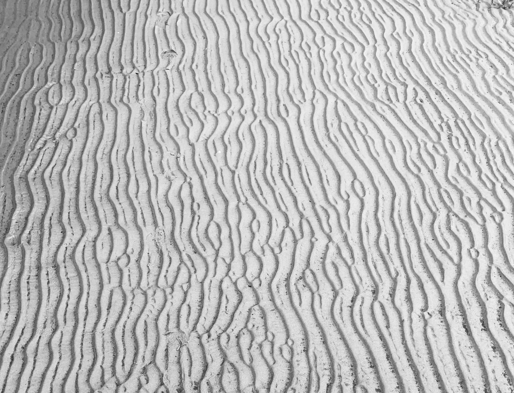 E5CEAEB3-FA68-4398-B004-EA9BCACF781F_1_201_a